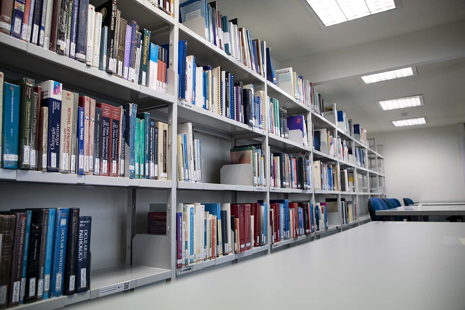 biblioteca estesl