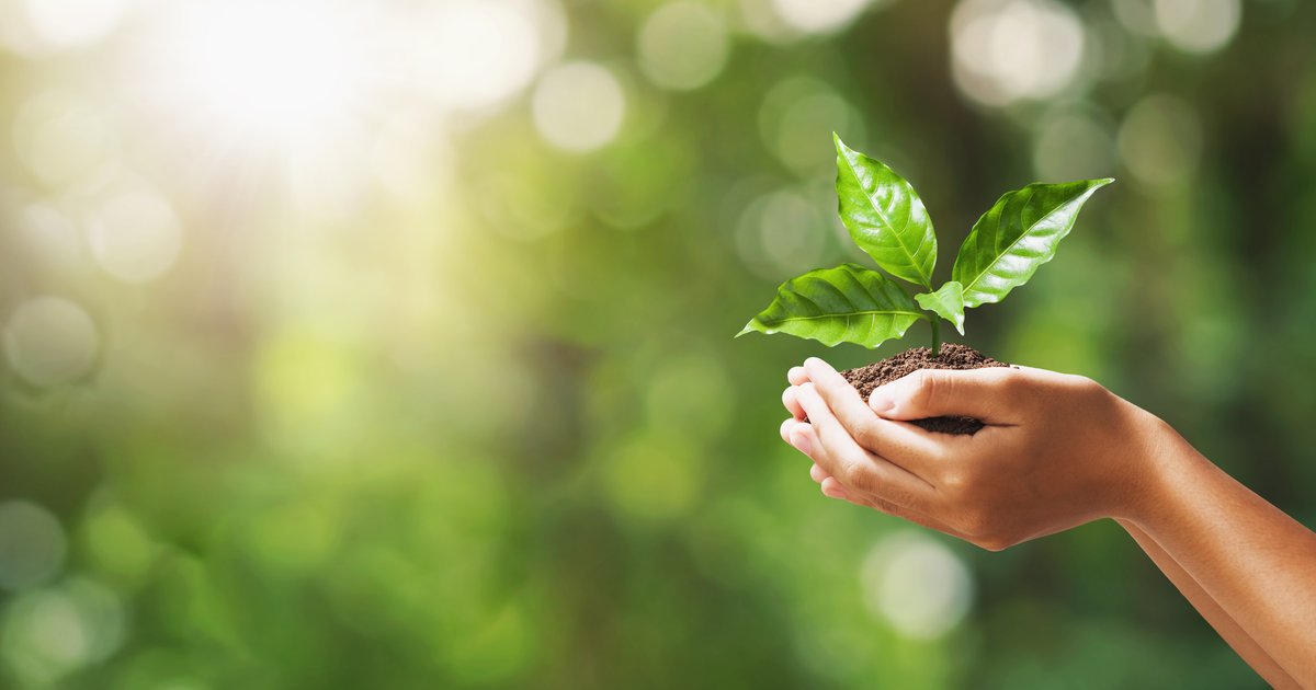 sustentabilidade