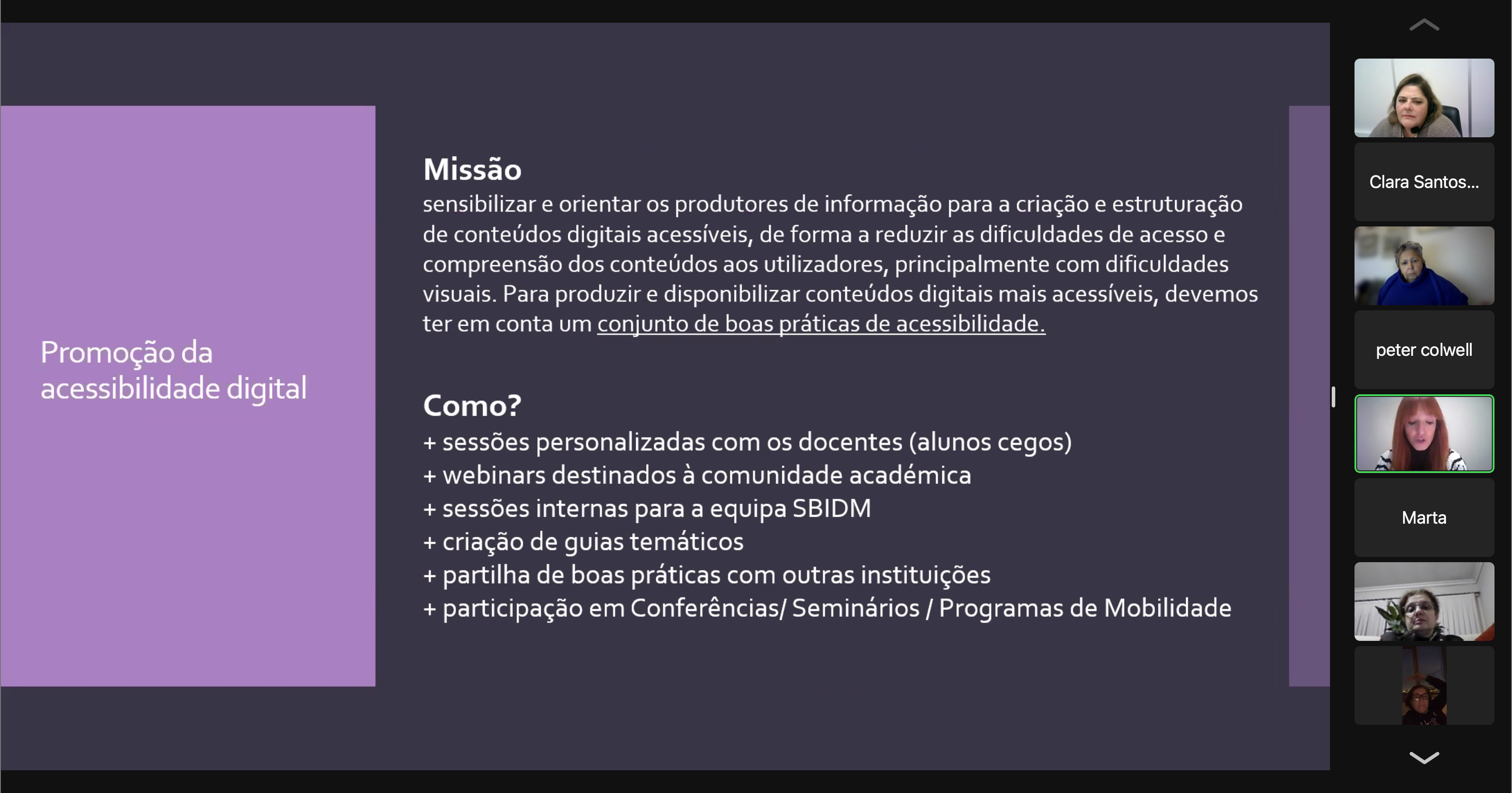partilha de boas práticas no webinar Estudantes cegos de de baixa visão