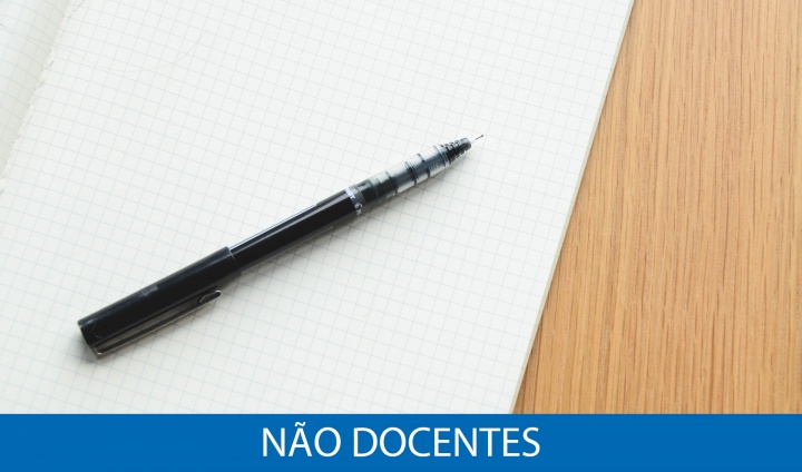 NÃO DOCENTES