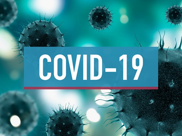 grafismos_coronavirus_site-04.jpg