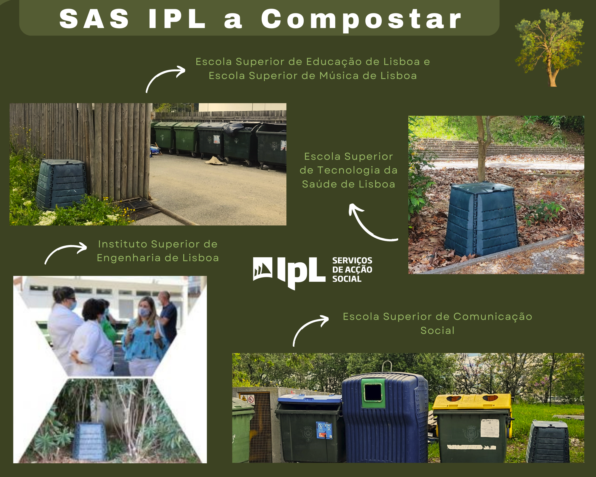 sas ipl a compostar