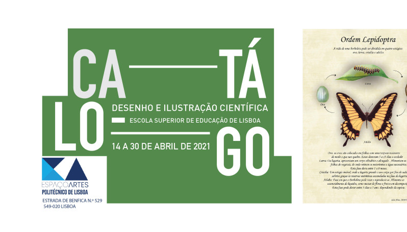 Exposição de desenho e ilustração científica