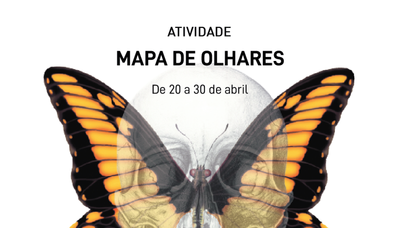 mapa de olhares