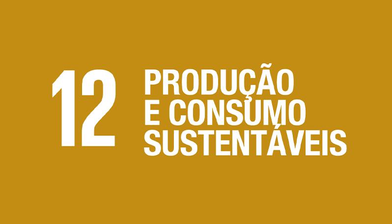  Seminário sobre ODS12, Consumo e produção sustentáveis
