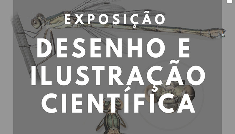 Exposição desenho e ilustração científica