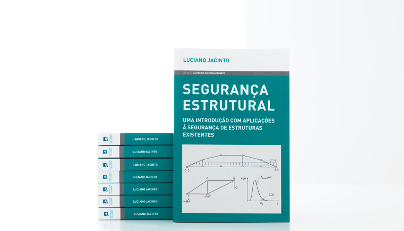 Segurança Estrutural: Uma introdução com aplicações à segurança de estruturas existentes