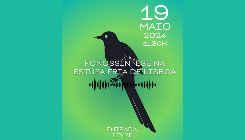capa do evento estufa fria - esml 
