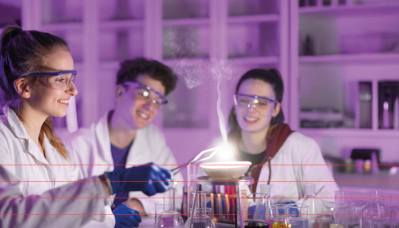 Ciência Viva no Laboratório - Estágios de Verão 2025