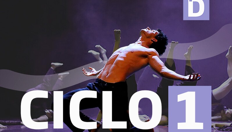 Ciclo 1