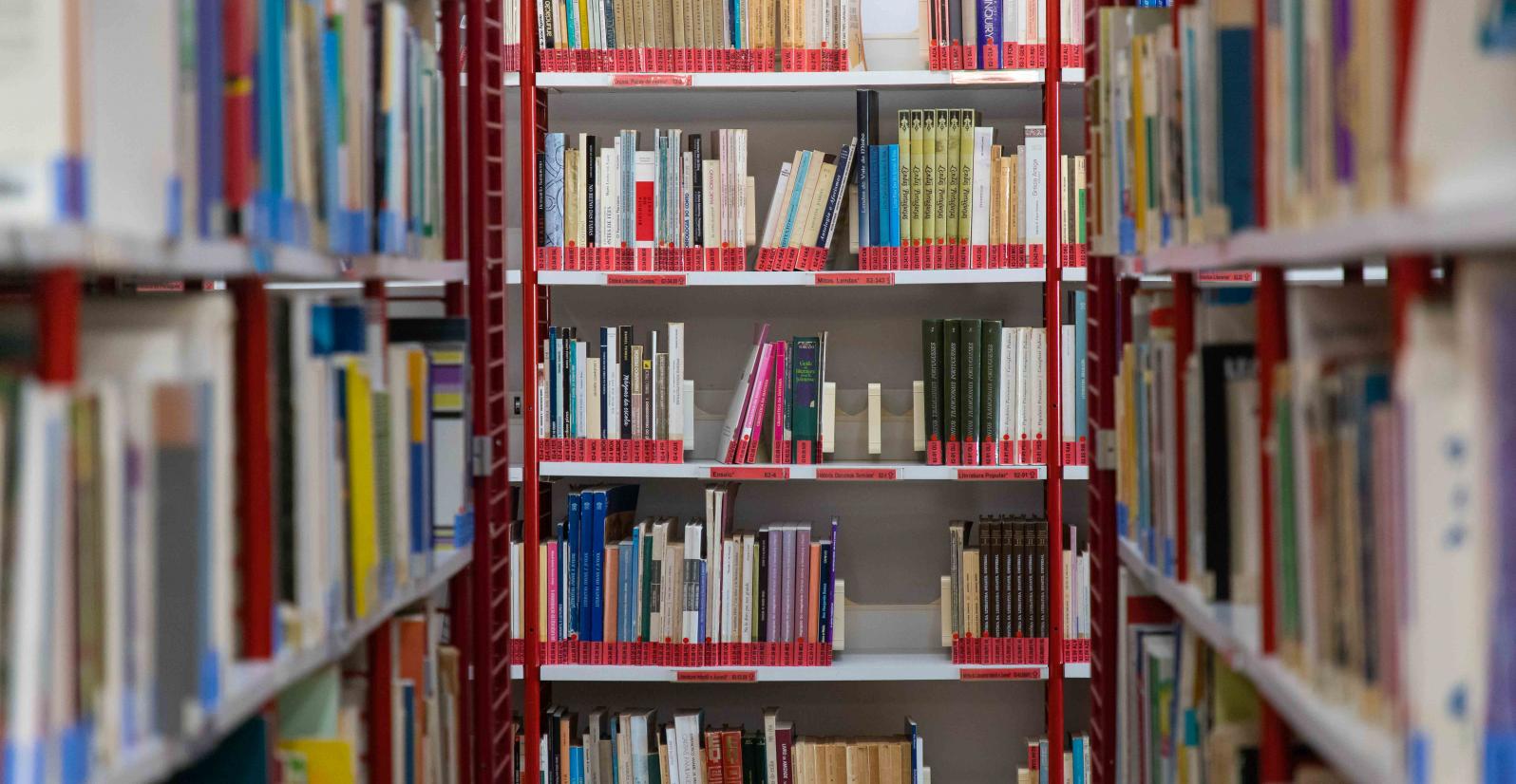 biblioteca da Escola Superior de Educação de Lisboa 
