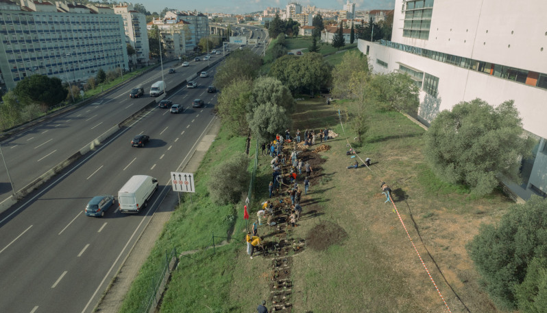 Ilha da Biodiversidade chega ao Campus de Benfica