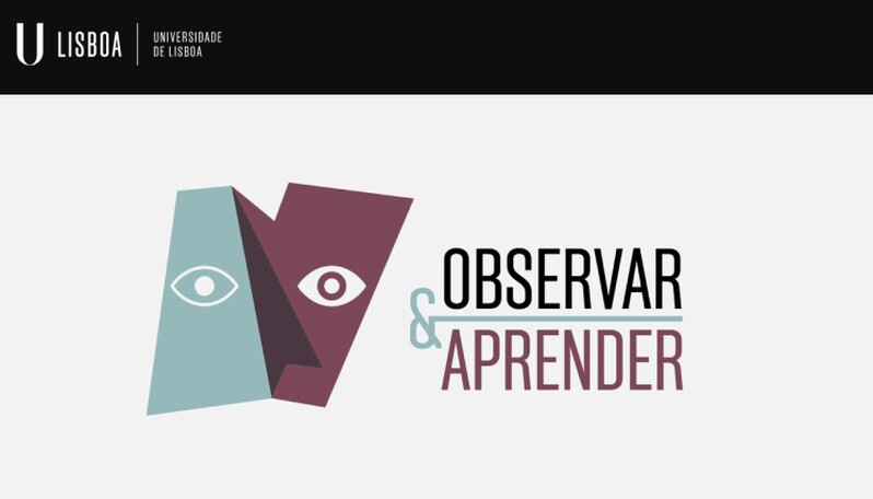 imagem com o tema Observar & Aprender