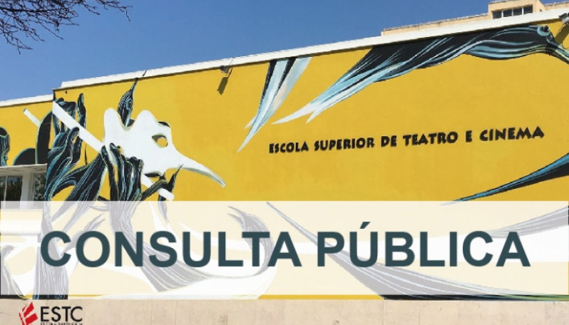Consulta Pública da Escola Superior de Teatro e Cinema