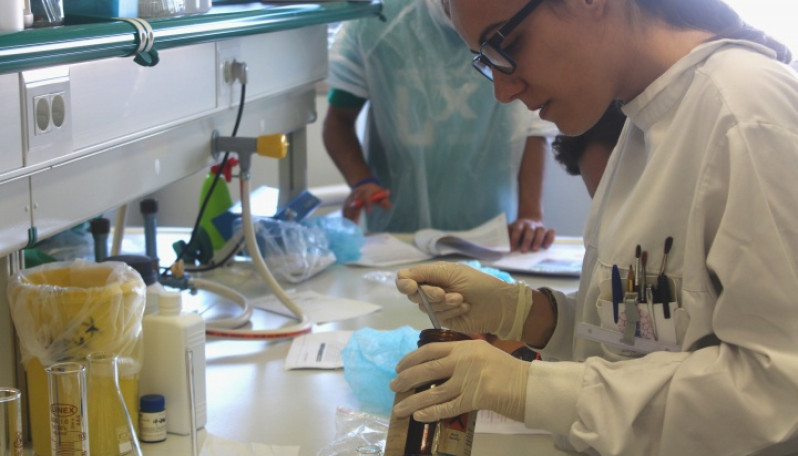 Laboratório ESTeSL