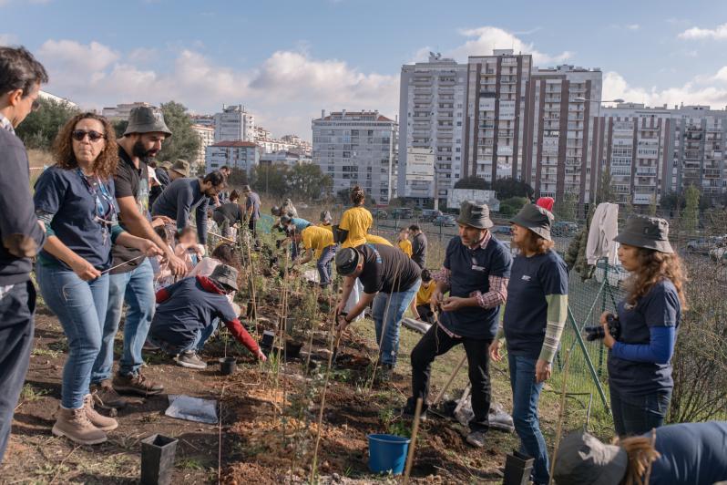 Plantação da nova micro-floresta no Campus de Benfica