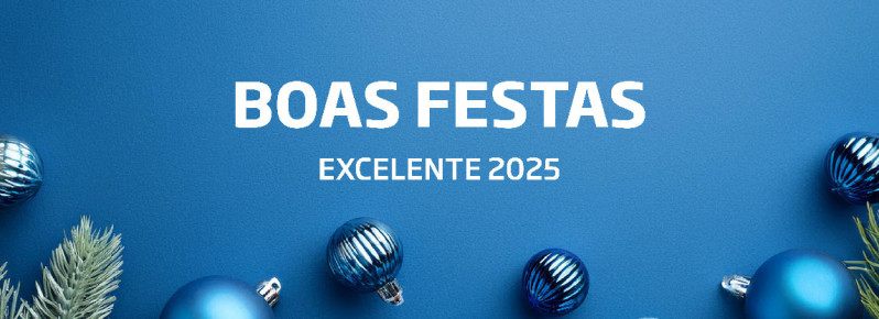 Boas Festas e um Excelente 2025