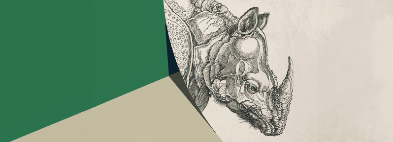 Relação entre arte e liberdade no n.º 2 da RHINOCERVS
