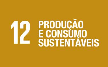  Seminário sobre ODS12, Consumo e produção sustentáveis