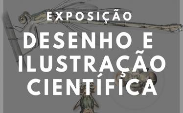 Exposição desenho e ilustração científica