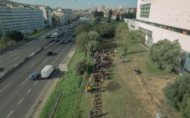 Ilha da Biodiversidade chega ao Campus de Benfica