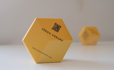 Instituto Nacional para a Reabilitação - Projeto de Inclusão