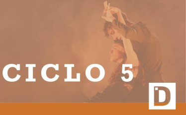 Ciclo 5 Escola Superior de Dança