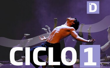 Ciclo 1