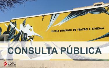 Consulta Pública da Escola Superior de Teatro e Cinema