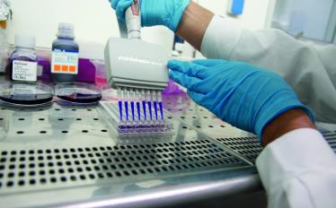 Laboratório de investigação