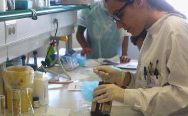 Laboratório ESTeSL