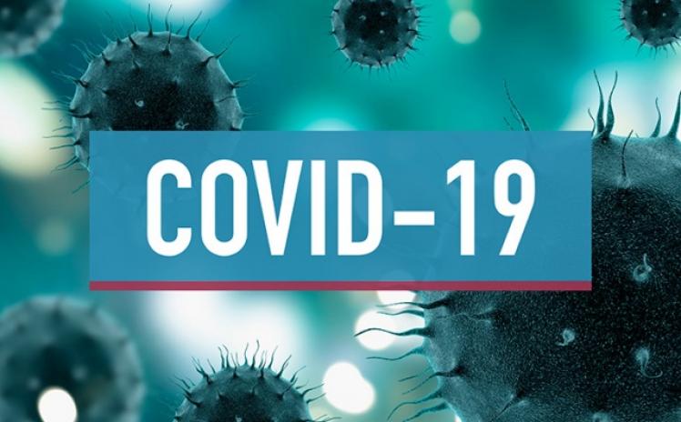 grafismos_coronavirus_site-04.jpg